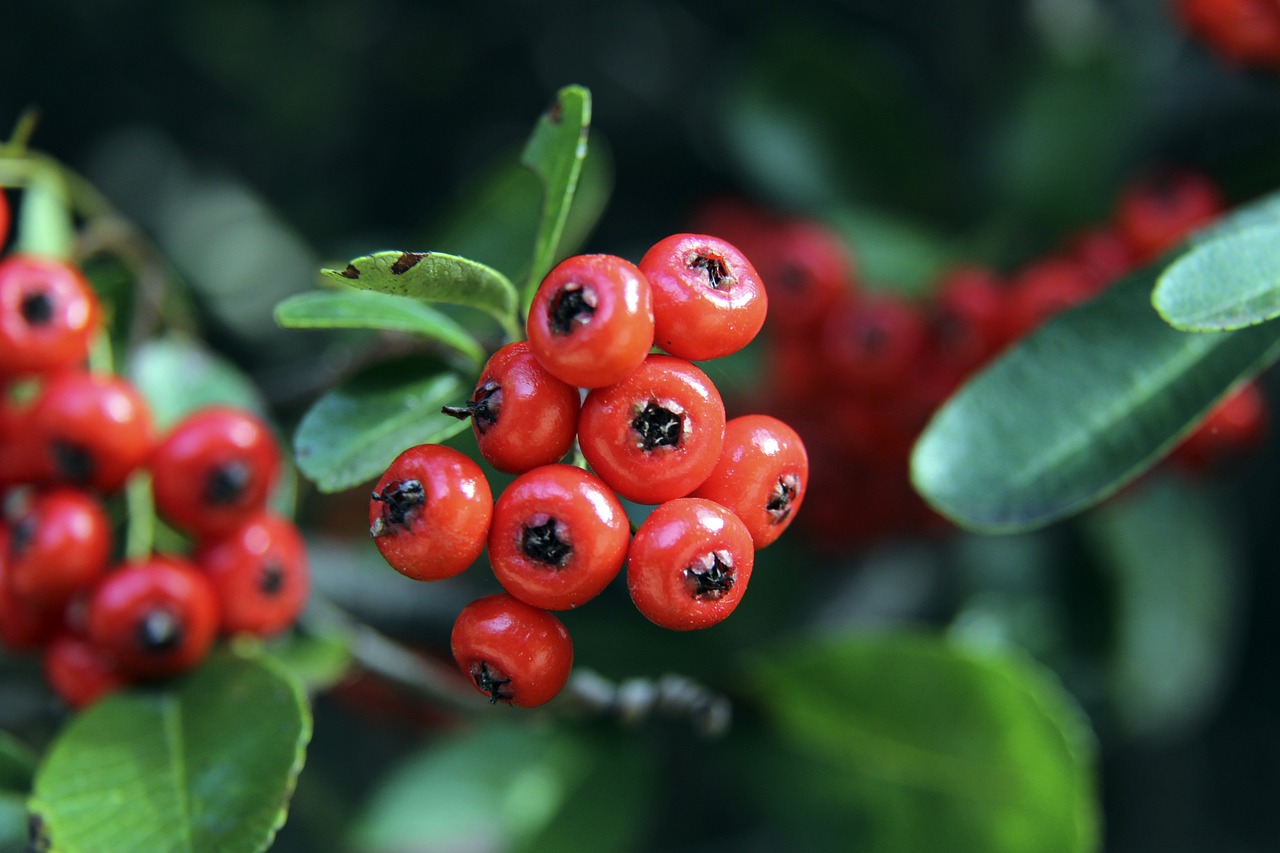 这对球员的 这对球员的