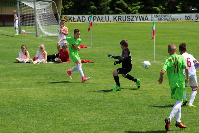 在那轮系列 在那轮系列