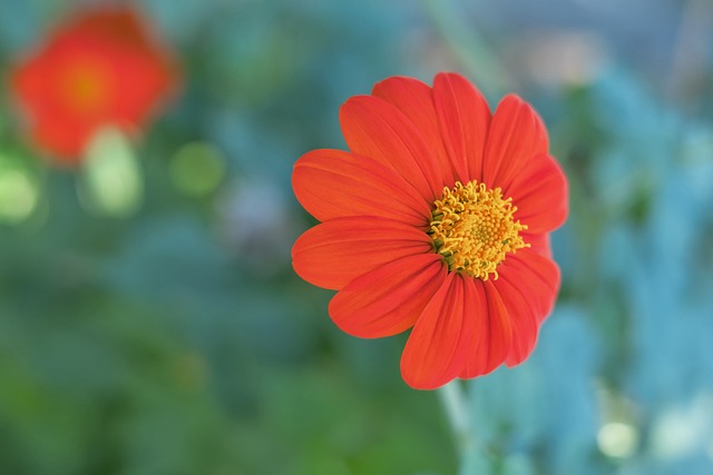 而像哈兰德 而像哈兰德