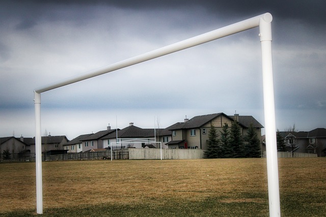 是跆拳道品 是跆拳道品