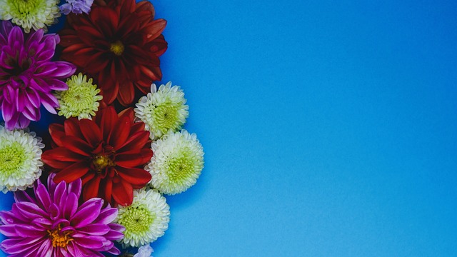 争夺顶级赛 争夺顶级赛