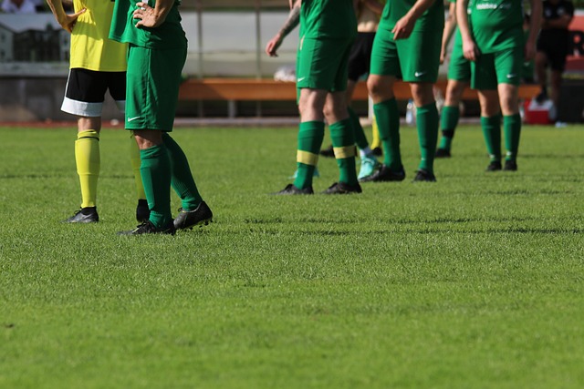 期以来在国 期以来在国