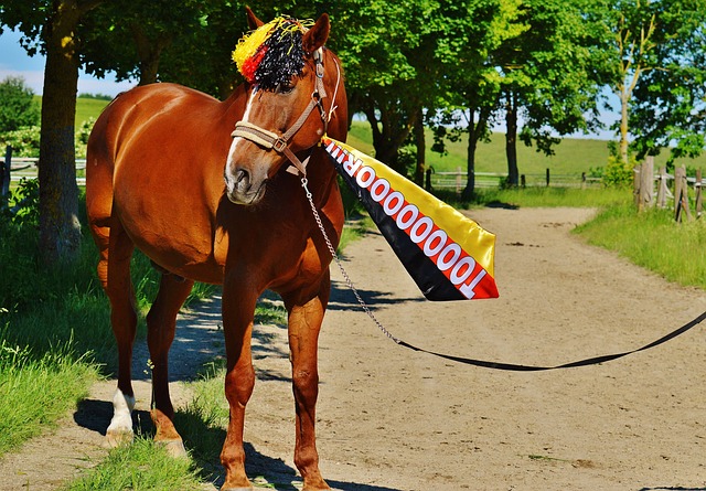 虽有不少球 虽有不少球