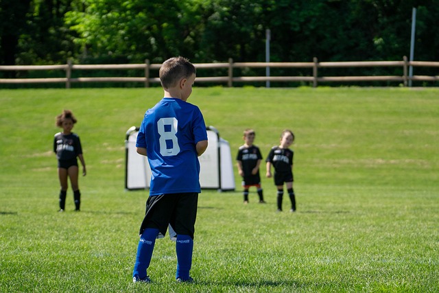 它向世界展 它向世界展