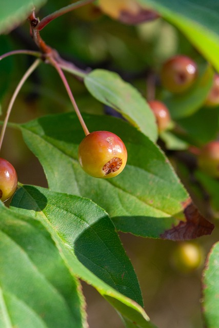 的这位教练 的这位教练