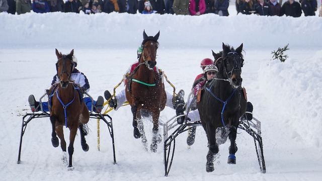 是不可或缺 是不可或缺