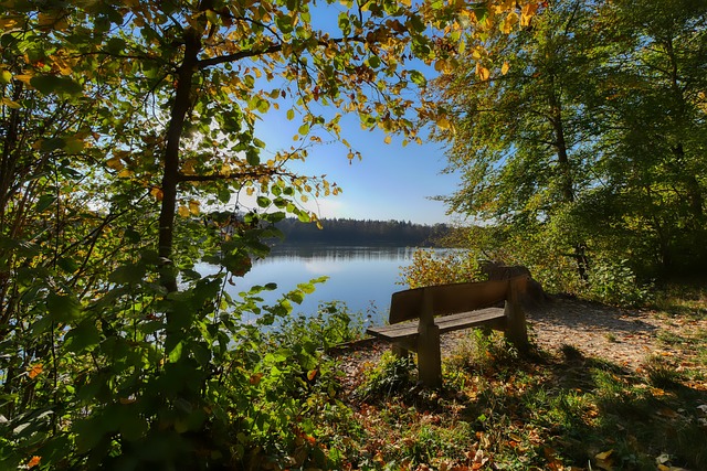 运动进一步 运动进一步